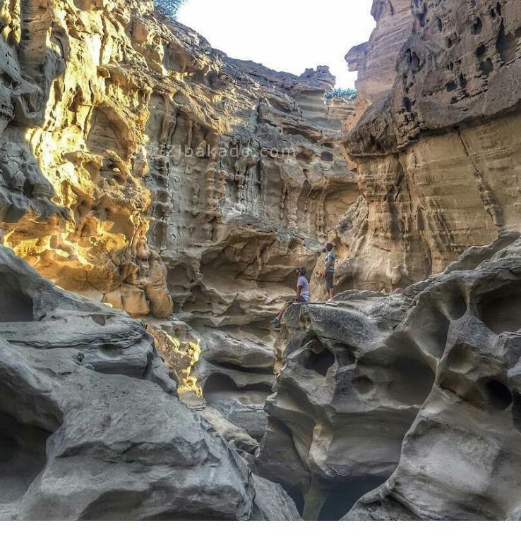 تفریحات تابستانی برای بزرگترها | سفرهای تابستانی | مکان های دیدنی | گردش های درون شهری